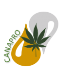 Logo Progetto